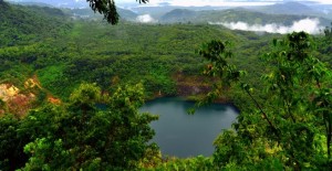 Bupati Diminta Pertimbangkan Nama Kebun Raya Megawati