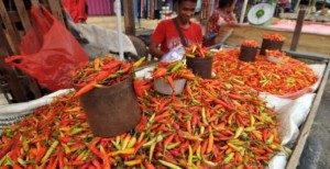 Jelang Puasa, Harga Cabe Merah Tembus Rp70 ribu/kg
