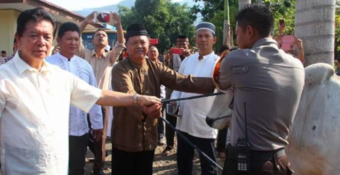 Pemkab Minut Salurkan 10 Ekor Sapi Bagi Umat Muslim 11 Bupati Minut
