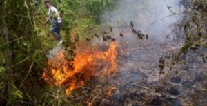 240 Ha Lahan Terbakar, Pemkab Minut Mulai Kewalahan