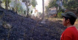 25 Ha Lahan Hangus, Kumtua Kolongan Warning Warga