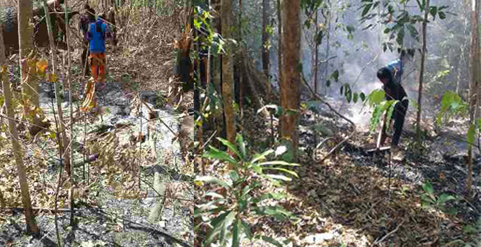 BERITA FOTO: Titik-titik Api Masih Terlihat di CA Tangkoko