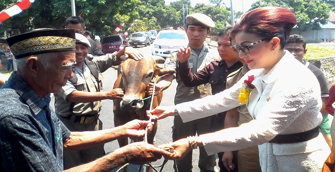 Hari Raya Idul Adha 1436 H Di Minsel, Umat Muslim Tenga Dapat Hewan Qurban 8 ewan qurban