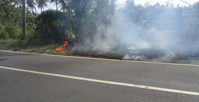 Kebakaran di Minsel Kian Meluas, Pusat Kota Amurang Kembali Dikepung Kabut Asap 8 kebakaran laan minsel