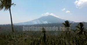 Pemerintah Wajib Menghutankan Kembali Sentra Resapan Air