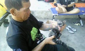 Tim Posko Klabat Selamatkan Satwa Langka, Sejumlah Diantaranya Spesies Baru