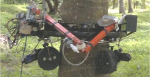 Omong Kosong? Piet Luntungan Berencana Beli Robot Pemetik Kelapa