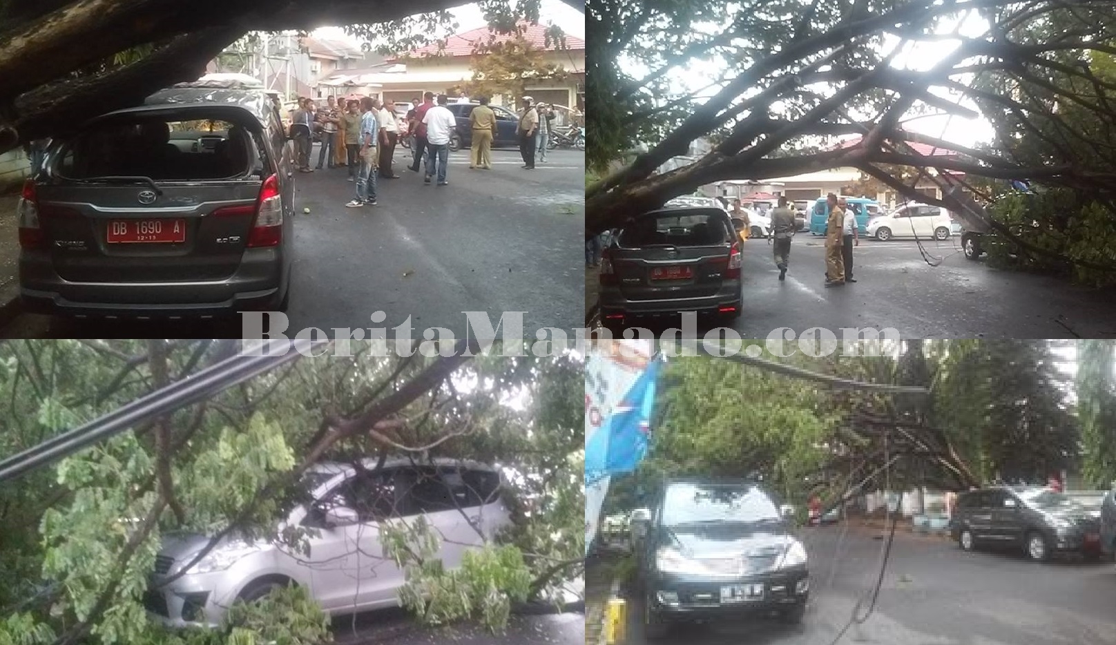 Mobnas Ketua Komisi D Tertimpah Pohon Roboh, "Ini Tanda Awas"