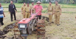 Distanak Mitra Targetkan Produksi Gabah Kering 30 Ribu Ton