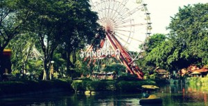 KERUSAKAN MANGROVE: PT GMM Berencana Bangun Dufan di Likupang?