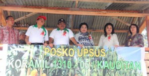 Gubernur Tanam dan Panen Jagung di Tontalete