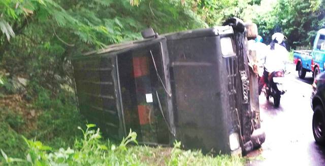Kijang Terbalik