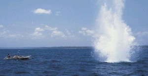 Bom Ikan Ancam Keindahan Pantai Pulisan