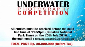 Buruan !!! Underwater Photo Competition FPB 2016 Tinggal Dua Hari Lagi