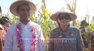 Mentan ANDY SULAIMAN: VONNIE PANAMBUNAN Seorang Petarung!
