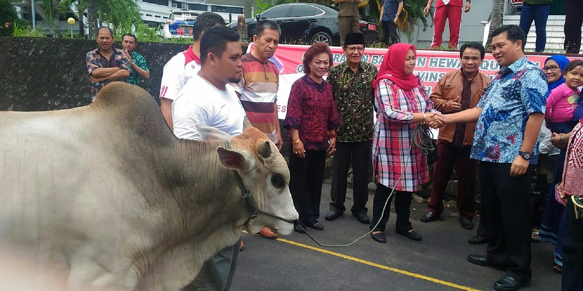 JOKO WIDODO Beri Bantuan Hewan Kurban Untuk Sulut