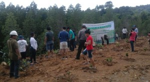 1000 Mangrove Penuhi Pantai Kina’udan Sermela Waleo