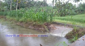 Tanggul Jebol, Petani Ikan di Laikit Rugi Puluhan Juta!
