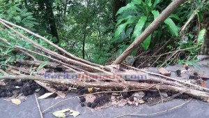 Akses Jalan Perkebunan Diblokir, Petani Matungkas Meradang