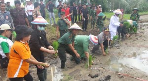 Perdana, 12 Ha Lahan Tidur di Dimembe Ditanami Padi