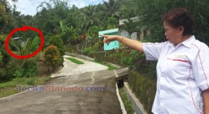 Kisruh Lahan SMKN 1 Airmadidi Mencuat