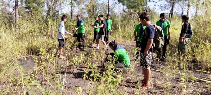KNPI Silian Raya Green Christmas 5