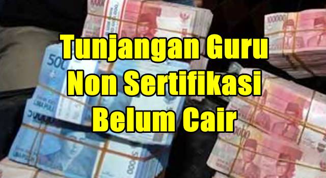 Tunjangan Guru PNS Non Sertifikasi Belum Cair, Ini Kata ...