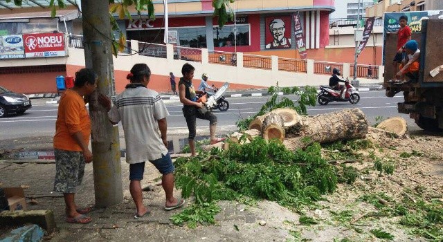Pohon tumbang di kelurahan Titiwungen Utara sedang dibersihkan oleh warga 
