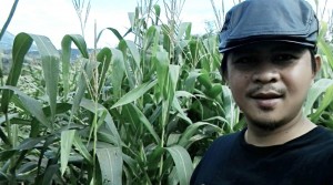 Sektor Pertanian Itu Seksi dan Primadona