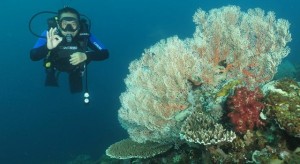 Festival Pulo Dua 2017 Bangkitkan Pariwisata Kabupaten Banggai