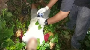 Petani Desa Matani Minsel Tewas Dikebun