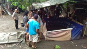 Polsek Amurang, Gerebek Judi Sabung Ayam di Amurang