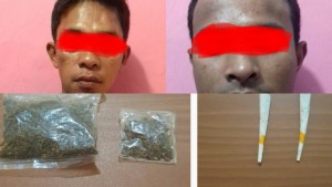 Dua Pengedar dan Pengguna Ganja Digulung Polres Bitung