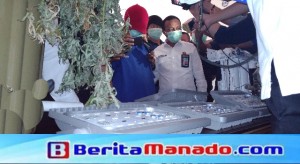 Bermodalkan 10 Juta dan Internet, Tersangka M Sukses Tanam Ganja Dengan Teknik Hidroponik