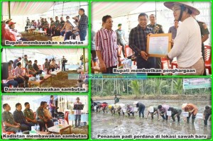 Lampaui Target, Mitra Sukses Program Cetak Sawah Baru