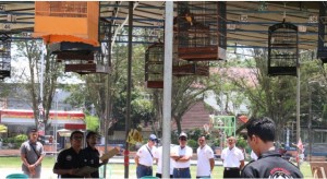 Kontes Burung Berkicau Bisa Dukung Pariwisata