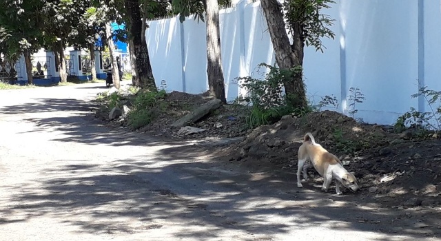 Sisa Material Pagar Politeknik Bitung Ganggu Kenyamanan Pengguna Jalan