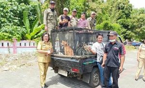 Empat Wilayah di Mitra Jadi Target Sweeping Hewan Rabies