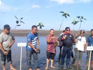 Peduli Lingkungan, MPA Anemon Tanam 300 Bibit Manggrove 8 Peduli Lingkungan, MPA Anemon Tanam 300 Bibit Manggrove