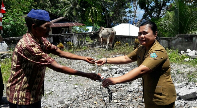 Jelang Perayaan Idul Adha, Pemkab Sangihe Sumbang Kurban di Kendahe