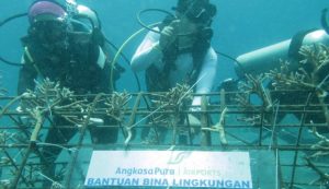 Angkasa Pura I Tanam 500 Terumbu Karang di Ujung Manado