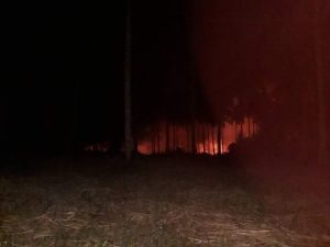 Perkebunan Silian Raya Dilalap Jago Merah