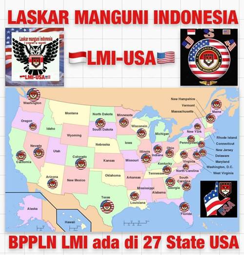 LMI USA