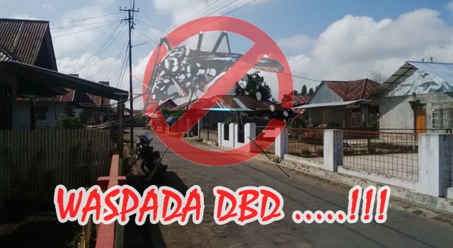 Audy Wungkar Ajak Masyarakat Desa Wolaang Waspadai DBD