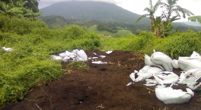Diduga Karung Berisi Flay-ash Dibuang di Tewaan, Ini Tanggapan PT MNS Bitung