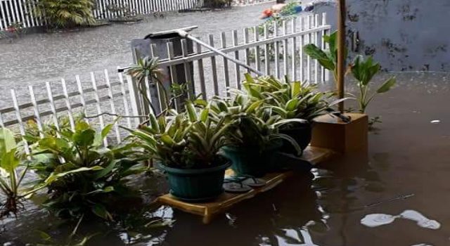 Kuala Radiolen Meluap, Kembang Terendam Banjir
