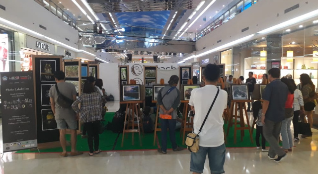 Angkat Kekayaan Hutan Tangkoko, T-FOB Gelar Pameran Foto di Mantos