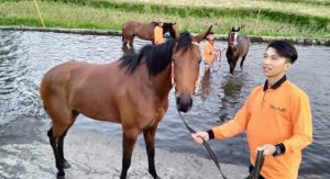 Wisata Mandi Kuda, Perpaduan Unik Hobi dan Potensi Desa Pinabetengan
