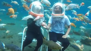 Cari Tempat Wisata Air yang Menyenangkan? Umbul Ponggok Tempatnya!