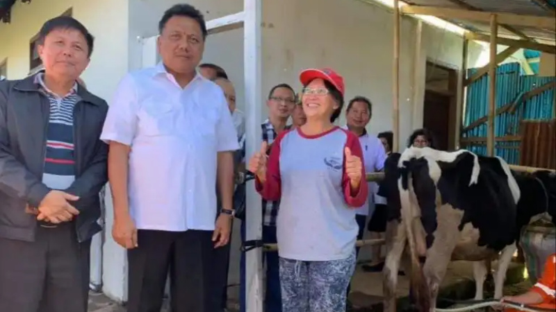 Tiga Manfaat Utama Sapi Perah jadi Fokus Pemprov Sulut